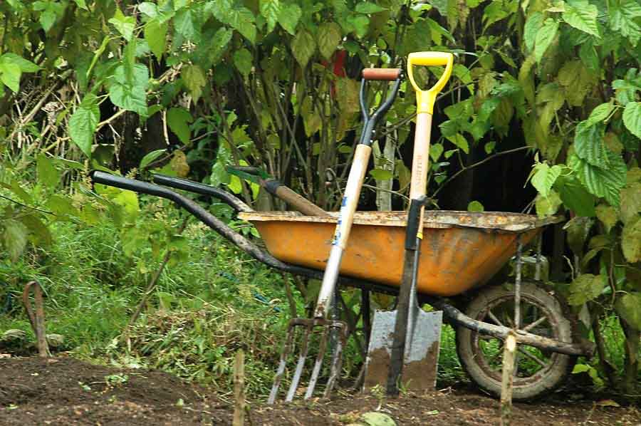 Incorporando los ocho principios le ayudará a crear un mini ecosistema hermoso y próspero.